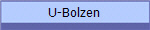 U-Bolzen