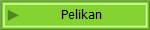 Pelikan