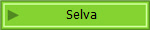 Selva